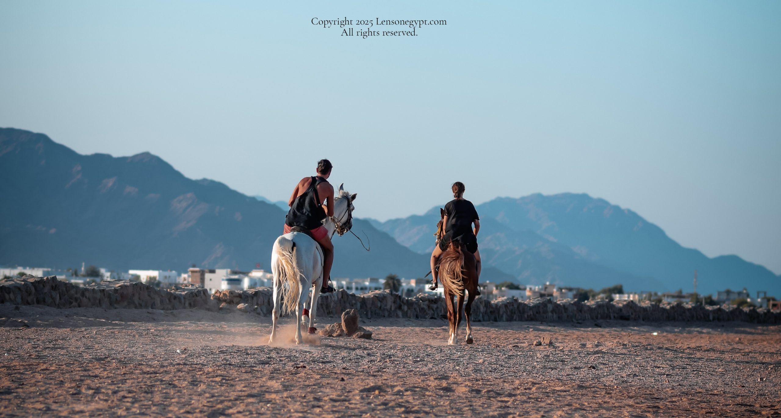 20210703_000101 20210703_000101